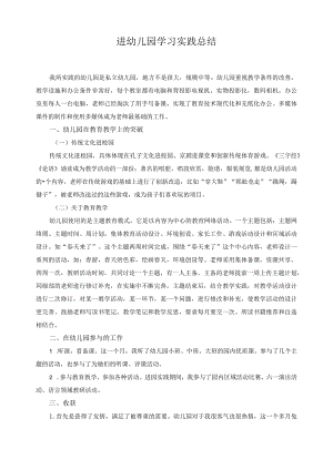 进幼儿园学习实践总结.docx