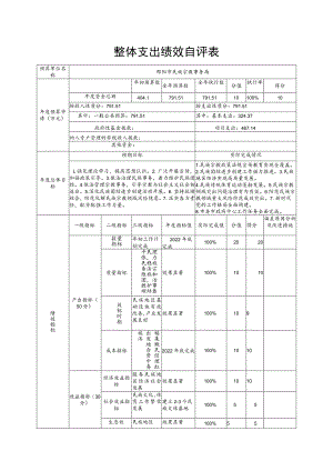 整体支出绩效自评表.docx