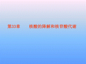 第33章核酸的降解和核苷酸代谢.ppt