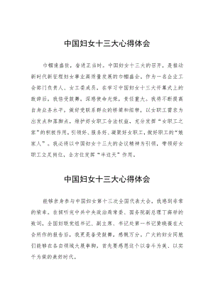 中国妇女十三大学习体会简短发言(十五篇).docx