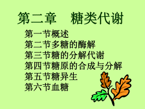 第2章糖代谢.ppt