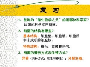 真菌参考课件2扩展型.ppt