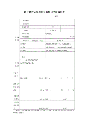 电子科技大学其他预算项目使用审批表.docx