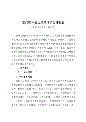 部门整体支出绩效评价自评报告.docx