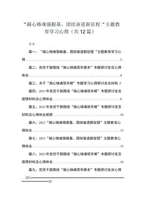2023“凝心铸魂强根基、团结奋进新征程“专题学习心得最新版12篇合辑.docx