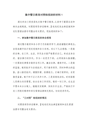 集中警示教育个人对照检视剖析材料汇编6篇范文稿.docx