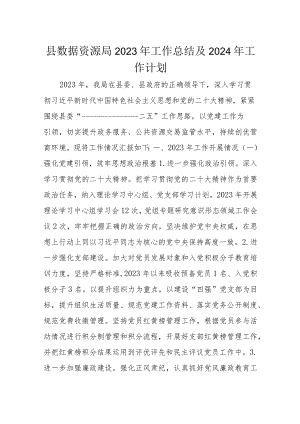 县数据资源局2023年工作总结及2024年工作计划.docx