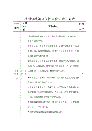 胜利镇城镇公益性岗位招聘计划表.docx