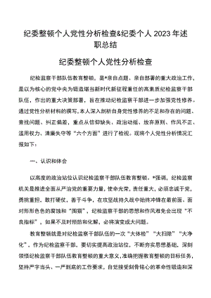 纪委整顿个人党性分析检查&纪委个人2023年述职总结.docx