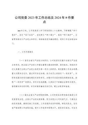 公司党委2023年工作总结及2024年工作要点.docx