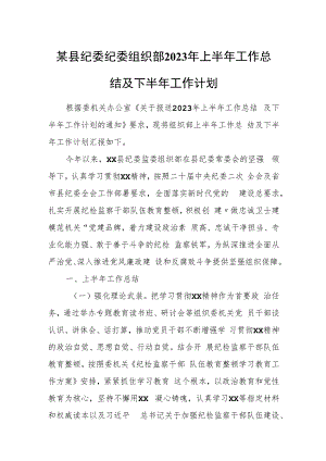 某县纪委纪委组织部2023年上半年工作总结及下半年工作计划.docx