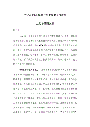 书记在2023年第二批主题教育推进会上的讲话范文稿.docx