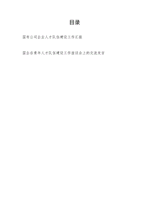 国有公司企业人才队伍建设工作汇报和在青年人才队伍建设工作座谈会上的交流发言.docx