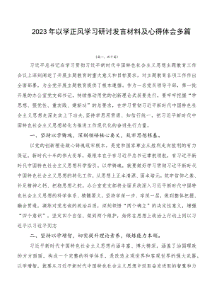 2023年以学正风学习研讨发言材料及心得体会多篇.docx