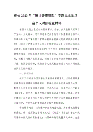市长2023年“统计督查整改”专题民主生活会个人对照检查材料.docx
