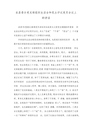 （2篇）在县委办党支部组织生活会和民主评议党员会议上的讲话+在2023年主题教育中深化理论学习工作总结.docx