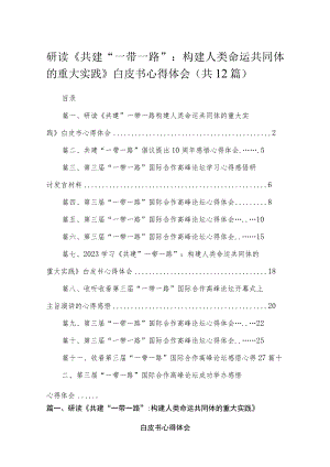 研读《共建“一带一路”：构建人类命运共同体的重大实践》白皮书心得体会12篇供参考.docx