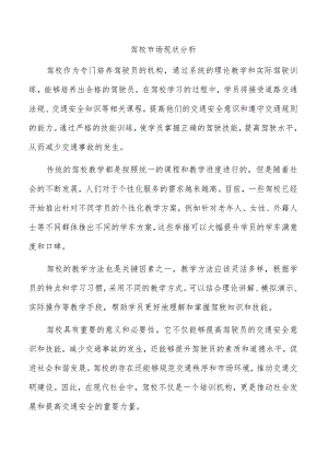 驾校市场现状分析.docx