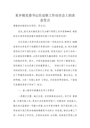 某乡镇党委书记在巡察工作动员会上的表态发言.docx
