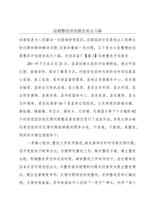 巡察整改评估报告范文六篇.docx