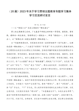 （20篇）2023年关于学习贯彻主题教育专题学习集体学习交流研讨发言.docx