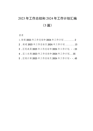 2023年工作总结和2024年工作计划汇编（5篇）.docx
