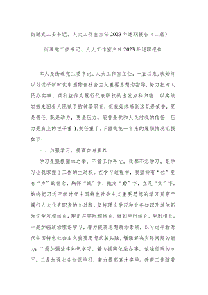 街道党工委书记、人大工作室主任2023年述职报告(二篇).docx