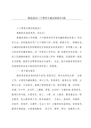 甄选基层三个聚焦专题巡察报告3篇.docx