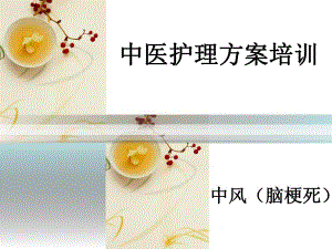 中风护理方案.ppt