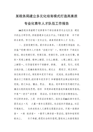 某税务局建立多元化培育模式打造高素质专业化青年人才队伍工作报告.docx