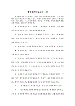 青蓝工程师徒结对计划.docx