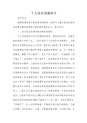 个人述责述廉报告.docx
