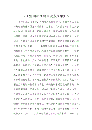 国土空间片区规划试点成果汇报.docx