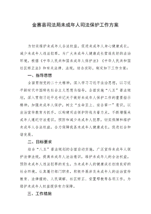 金寨县司法局未成年人司法保护工作方案.docx