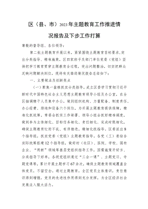 区（县、市）2023年主题教育工作推进情况报告及下步工作打算.docx
