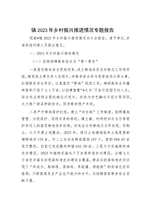 镇2023年乡村振兴推进情况专题报告.docx
