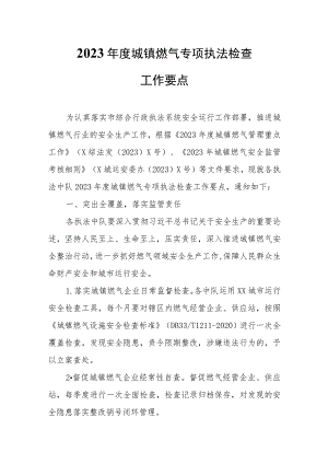 2023年度城镇燃气专项执法检查工作要点.docx
