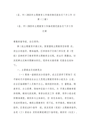 （县、市）2023年主题教育工作推进情况报告及下步工作打算（二篇）.docx