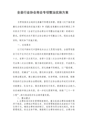 全县行业协会商会专项整治实施方案.docx