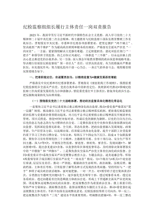 纪检监察组组长履行主体责任一岗双责报告.docx