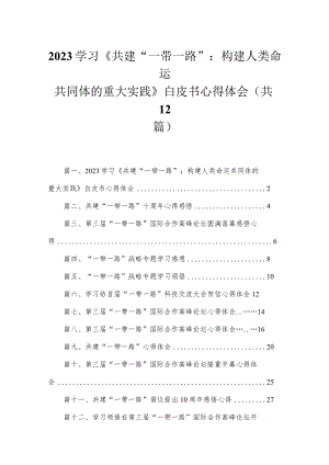 (12篇)学习《共建“一带一路”：构建人类命运共同体的重大实践》白皮书心得体会范本.docx