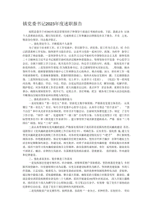 镇党委书记2023年度述职报告.docx