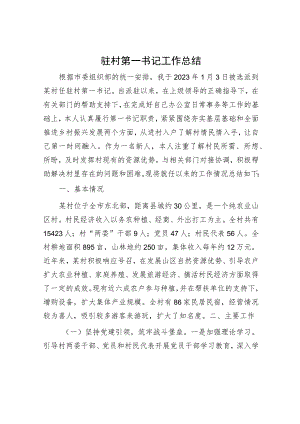 驻村第一书记工作总结.docx