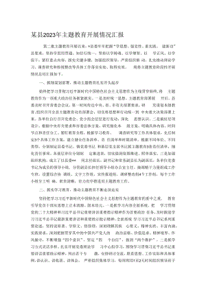 某县2023年主题教育开展情况汇报.docx