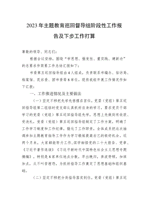 2023年主题教育巡回督导组阶段性工作报告及下步工作打算.docx