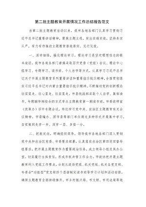 第二批主题教育开展情况工作总结报告范文.docx