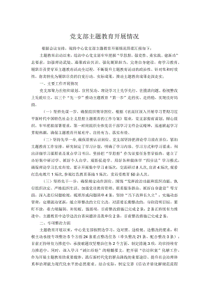 党支部主题教育开展情况.docx