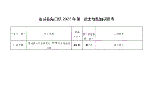 连城县姑田镇2023年第一批土地整治项目表.docx