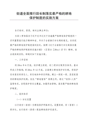 街道全面推行田长制落实最严格的耕地保护制度的实施方案.docx