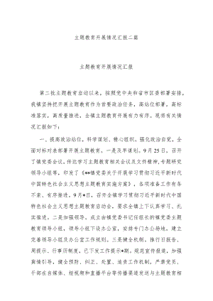 主题教育开展情况汇报二篇.docx